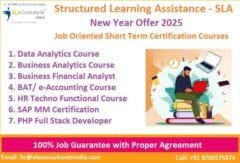 New Year Offer 2025